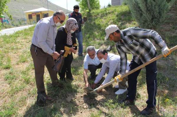Urartu mirası Erciş üzümünün ekimi artıyor 