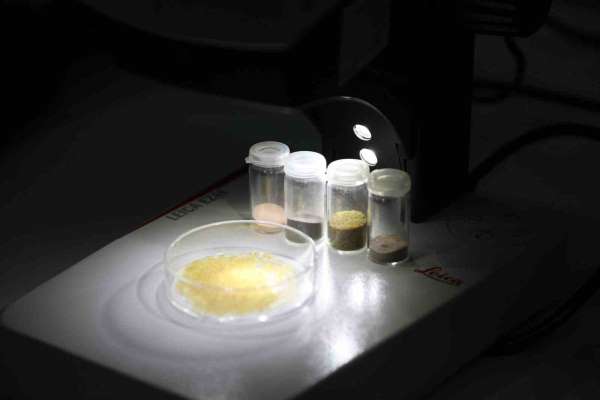 BTÜ'nün projesi hayvansal kaynaklara alternatif kaynak olacak