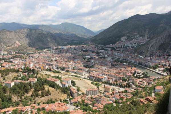 Kahverengi kokarca yayılıyor: Amasya'da da tespit edildi