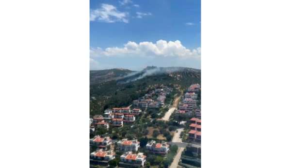 Burhaniye'deki zeytinlik yangını kontrol altına alındı