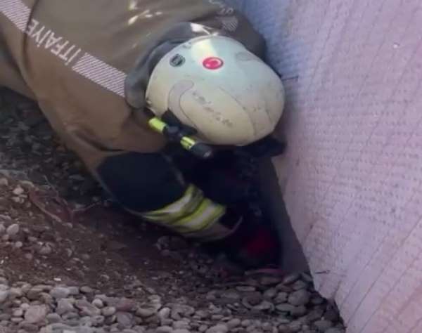 Moloz yığını altında kalan yavru kedi kurtarıldı