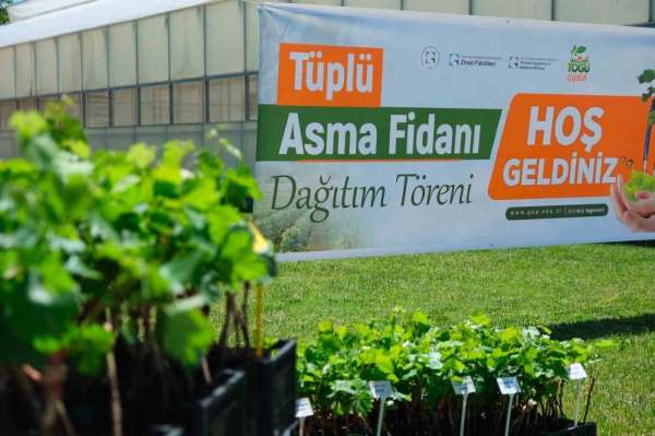 TOGÜ'den üreticiye bağcılık desteği