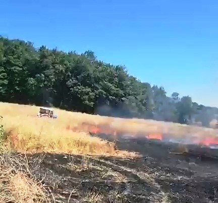 Samsun'da 1 yıllık emek kül oldu, orman son anda kurtarıldı