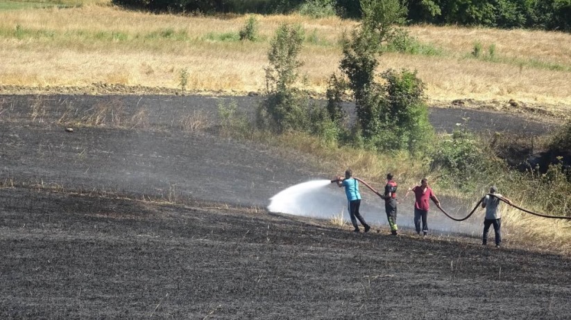 Samsun'da 1 yıllık emek kül oldu, orman son anda kurtarıldı