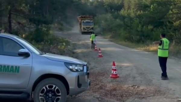 Sinop'ta orman kaçakçılığına karşı sıkı denetim