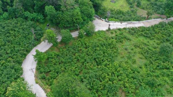 Ordu'da beton yol çalışmaları