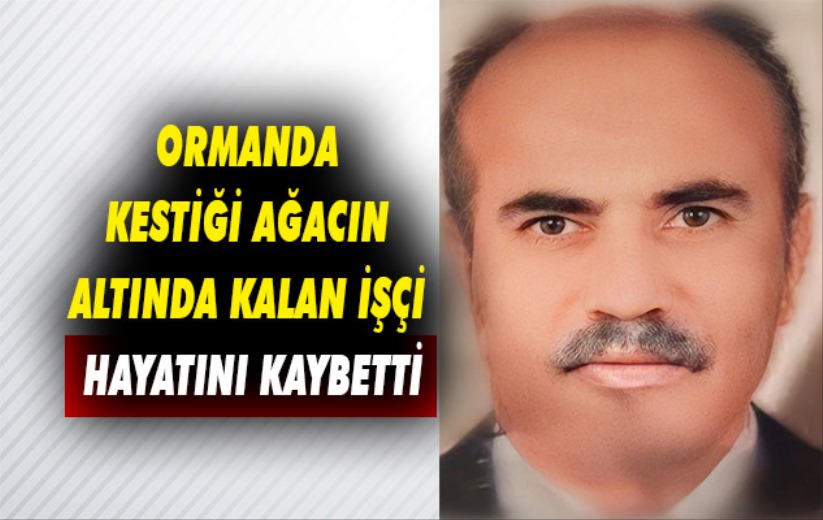 Ormanda kestiği ağaç üzerine devrilen işçi hayatını kaybetti