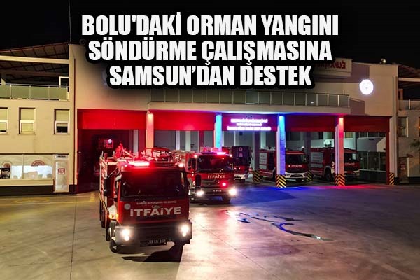 Samsun'dan, Bolu'daki orman yangını söndürme çalışmasına destek