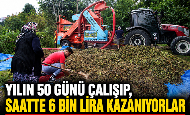 Yılın 50 günü çalışıp, saatte 6 bin lira kazanıyorlar