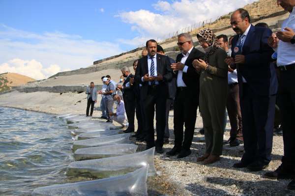 Elazığ'da 21 bin ton balık üretimi