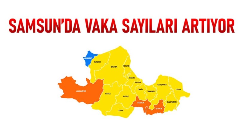 Samsun'da vaka sayıları artıyor