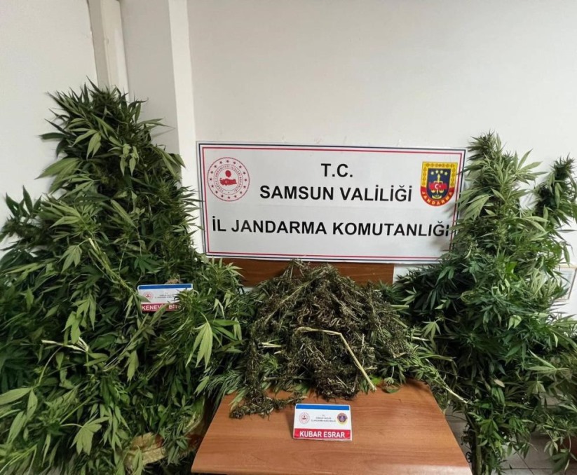 Samsun'da jandarma 7 kilo kubar esrar ele geçirdi