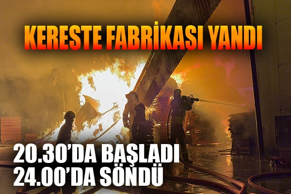Samsun'da kereste fabrikasındaki yangın kontrol altına alındı