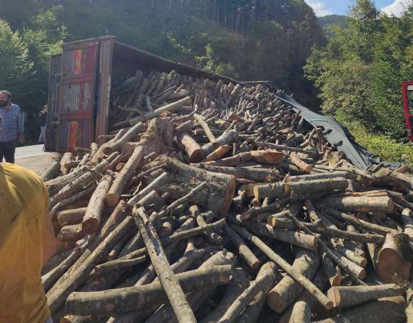 Ordu'da tomruk kamyonu devrildi: 21 ton tomruk yola saçıldı