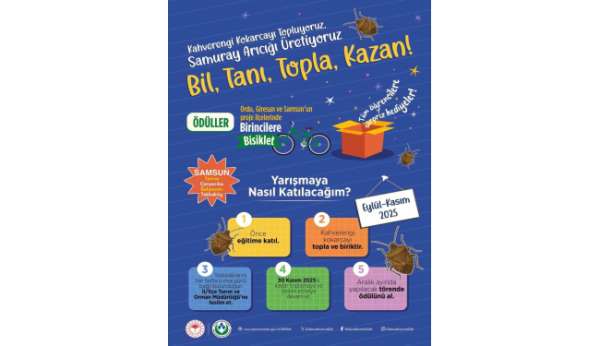 Samsun'da öğrenciler kokarca toplama yarışında