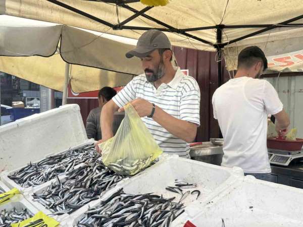 Tezgahlarda hamsi bolluğu