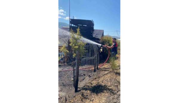 Türkeli'de anız yangını eve sıçradı