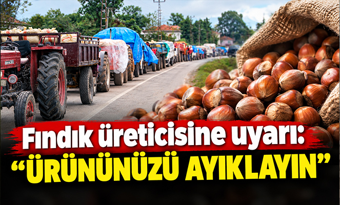 Fındık üreticisine uyarı: 'Ürününüzü ayıklayın'