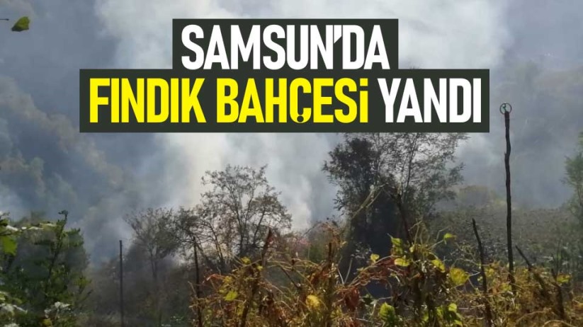 Samsun'da fındık bahçesi yandı