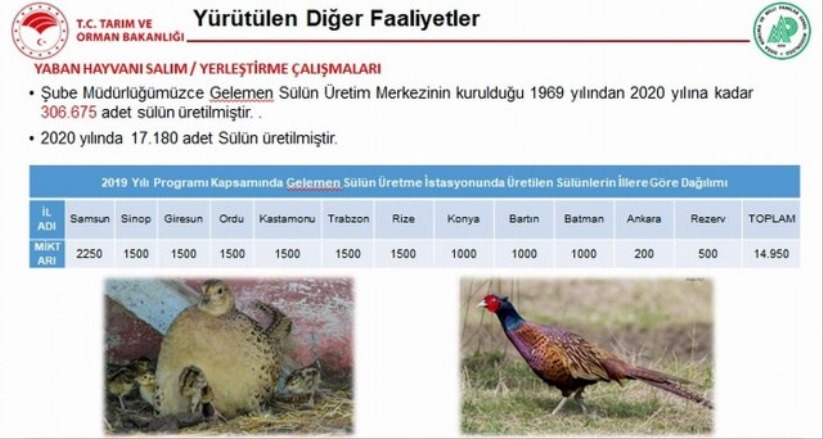 Samsun'dan Türkiye'ye dağıtılıyor