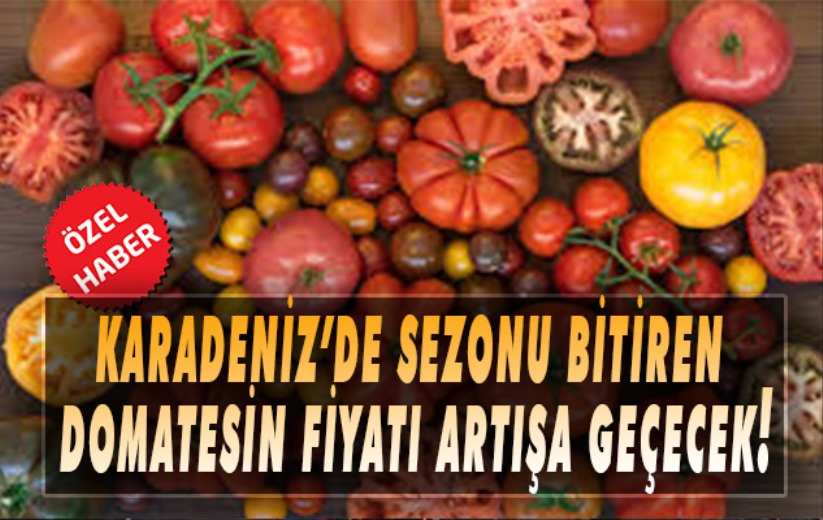 Karadeniz'de sezonu bitiren domatesin fiyatı artışa geçecek!