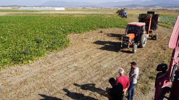 Burdur'da şeker pancarı hasadında yüksek rekolte beklentisi