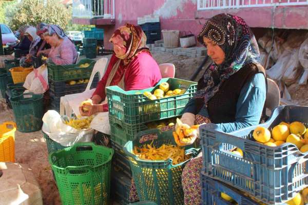 Manisa'da şifa kaynağı cennet hurmasına talep artıyor