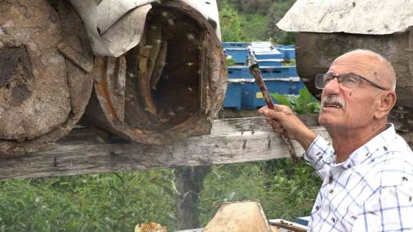 Rize'de karakovan balının hasadı tamamlandı, fiyatı belirlendi