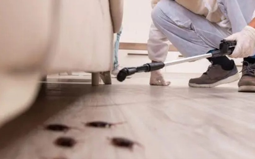 Villa ve Yazlıklar İçin Sezon Öncesi İlaçlama ve Yapısal Koruma Rehberi