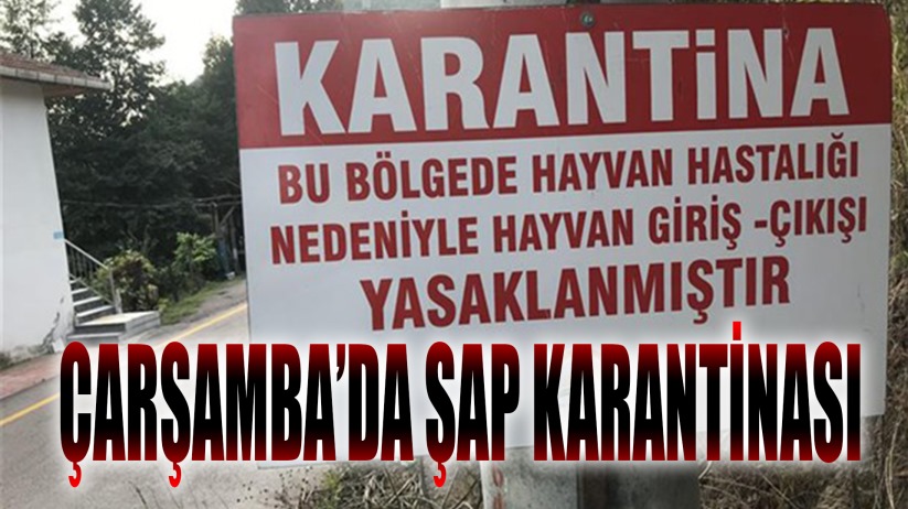 Çarşamba'da şap karantinası