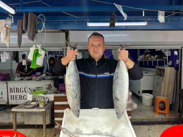 Bandırma Balık Hali'nde sezon hareketliliği başladı