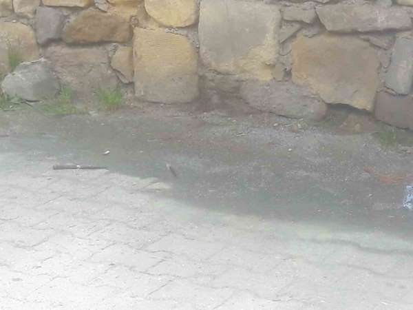 'Seni Kastamonu'da gezdirmem' sözü tahrik sayıldı: 1 kişiyi bıçaklayan baba-oğula indirimli ceza