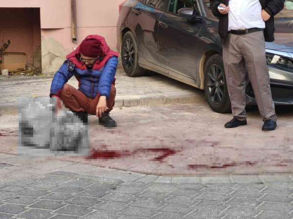 Tartıştığı ağabeyini sokak ortasında bıçaklayıp evine döndü