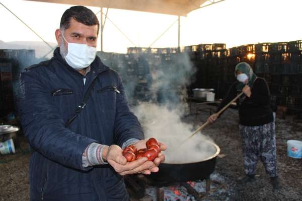 Düşten lansmana yolculuk: Rüyasında gördü, 13 bin fidan dikti, 600 ton üretti, ş