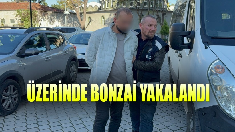 Üzerinde bonzai ele geçirilen şahıs adliyeye sevk edildi