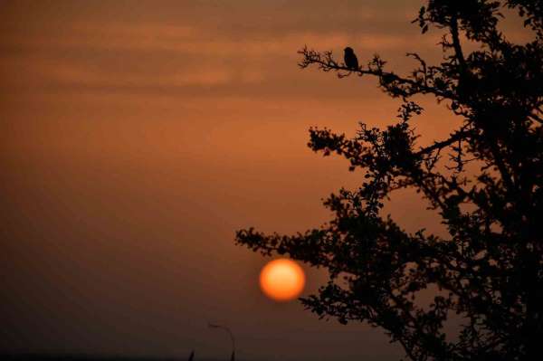Kuş Cenneti'nde sonbahar