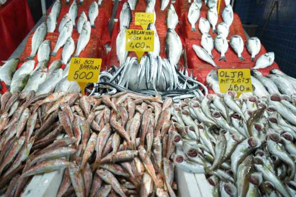 Samsun'da balık fiyatlarında son durum