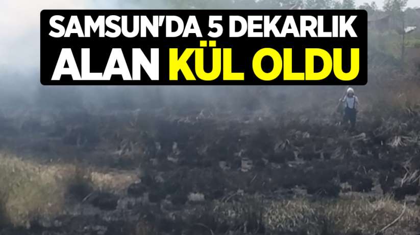Samsun'da 5 dekarlık alan kül oldu