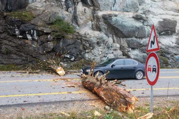 Zigana Dağı'nda yola düşen ağaç Gümüşhane-Trabzon karayolunu ulaşıma kapattı 