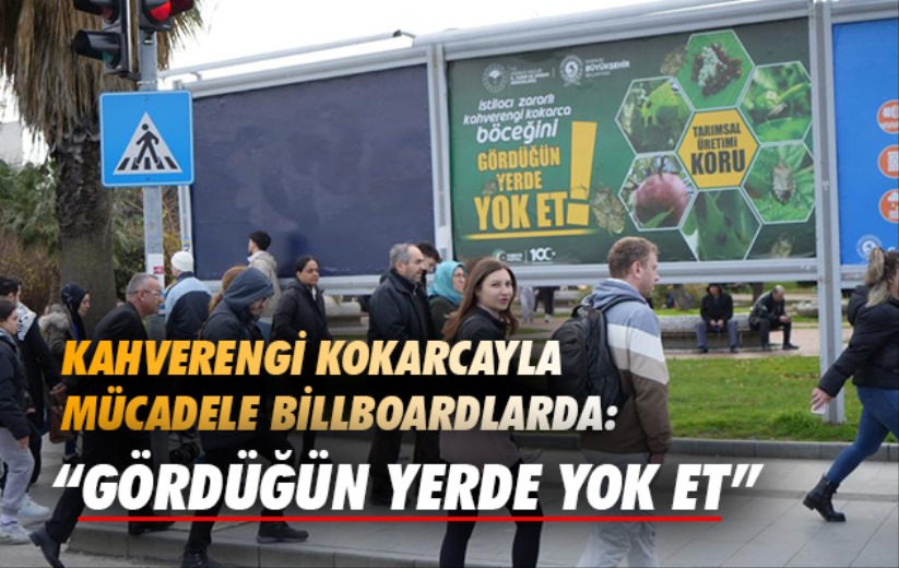 Samsun'da kahverengi kokarcayla mücadele billboardlarda: 'Gördüğün yerde yok et'