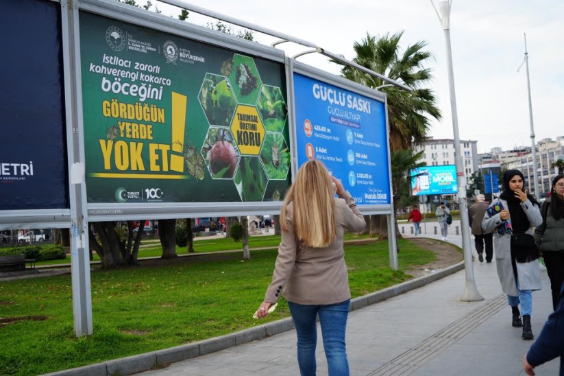 Samsun'da kahverengi kokarcayla mücadele billboardlarda: 'Gördüğün yerde yok et'