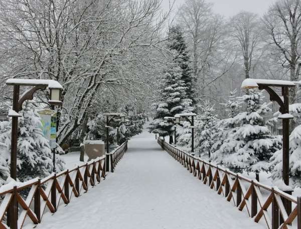 Ordu'nun 16 ilçesinde eğitime kar engeli