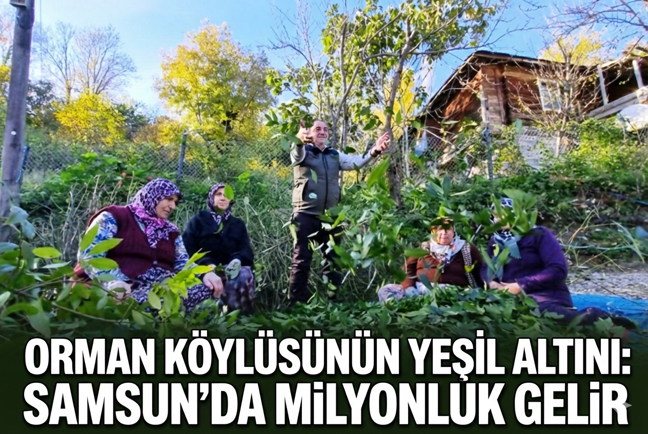 Orman köylüsü ekmeğini topraktan çıkartıyor