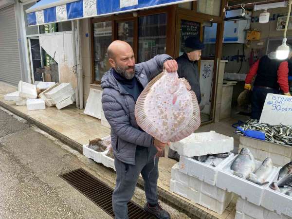 Karadeniz'de avlanan 8 kiloluk kalkan balığı 5 bin liraya satıldı - Sinop haber