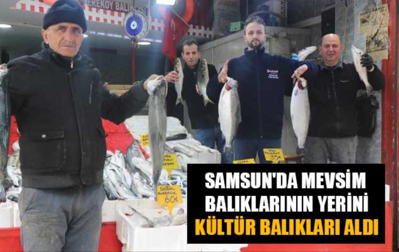 Samsun'da mevsim balıklarının yerini kültür balıkları aldı