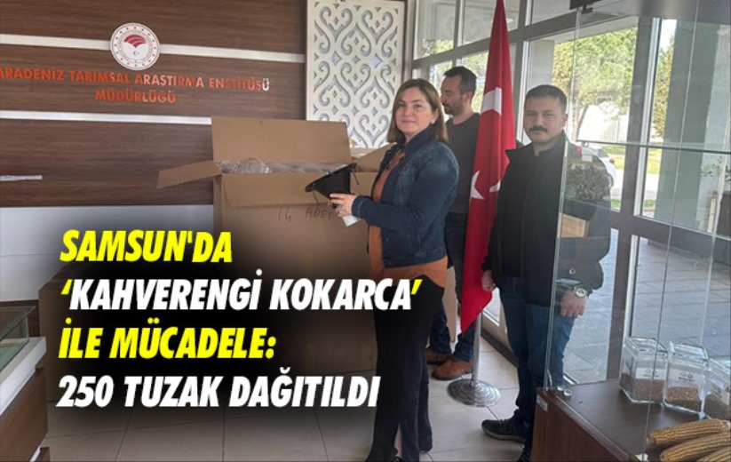 Samsun'da 'kahverengi kokarca' ile mücadele: 250 tuzak dağıtıldı