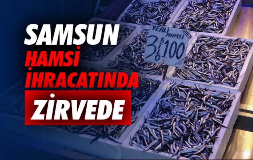 Samsun, hamsi ihracatında Türkiye'de zirvede