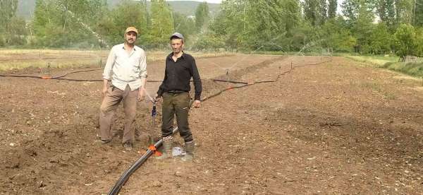 Hisarcık'ta kuraklık pancar üreticisini vurdu