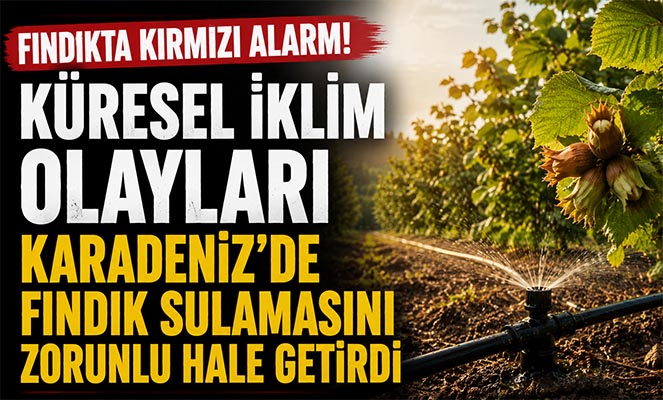 Fındıkta kırmızı alarm