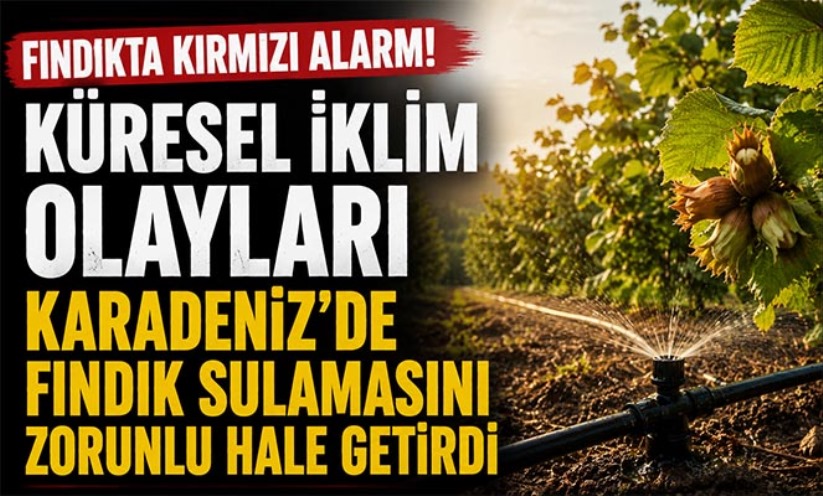 Fındıkta kırmızı alarm